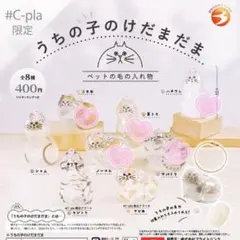 正規品 うちの子けだまだま ガチャガチャ 5個セット