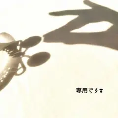 かなこ様　専用です❣