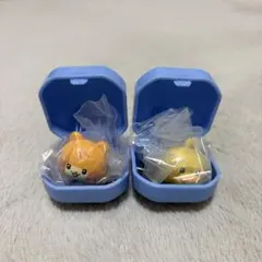 zeroni ぷくっとリング ビニニ テニニ チョナンズ