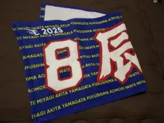 辰巳涼介　タオル