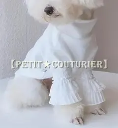 Item thumbnail for item eda3451a-eb77-4b05-8334-a5bab2d20bc5