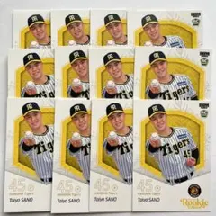 Noya様 リクエスト 2点 まとめ商品