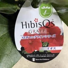 ハイビスカス NEWロングライフシリーズ イオス 4号　＊同梱推奨商品のサムネイル