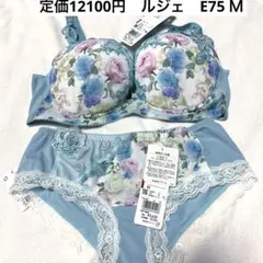 WACOAL パルファージュ ワコール サイズ…E65 - メルカリ
