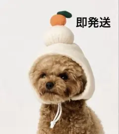 Item thumbnail for item 03e2b423-11c3-4130-8dcc-9277d27d22bb