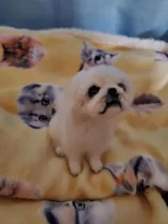 羊毛フェルト ぬいぐるみ