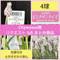 Chywawa様 リクエスト 3点 まとめ商品