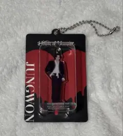 House of Vampire JUNGWON アクリルキーリング
