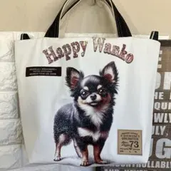 Item thumbnail for item e1c80bd0-f0de-45a5-bfdd-7c049c7b4a9c