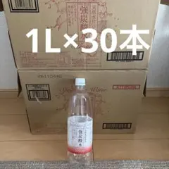 空　ペットボトル　1L×30本