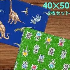 入学準備 ランチョンマット40×50 2枚セット 枚数組合変更可　男の子96