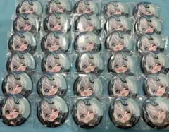 シクフォニ 雨乃こさめ DIVEIIWorld SD 30点