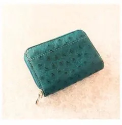 綺麗なターコイズグリーン♪ コインケース 鍵やカード入れにも◯ オーストリッチ