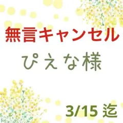 ♡ぴえな様 専用♡