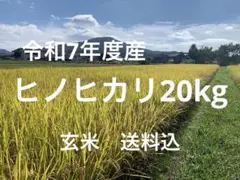 令和7年度産　ヒノヒカリ20kg(玄米)送料込のサムネイル