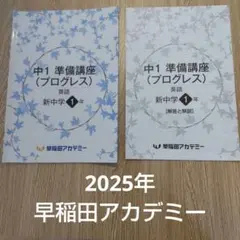 parasol様 リクエスト 2点 まとめ商品