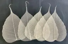 ハッピーちゃん様 リクエスト 2点 まとめ商品