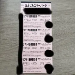 たんばらスキーパークリフト券➕特別優待リフト券 2025~2026 たんばら スキーパーク リフト1日券 特別ご招待券 スキー場