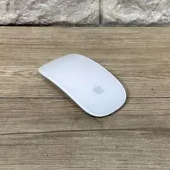 APPLE MAGICMOUSE MB829J/A
