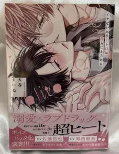 イケないエリートΩは淫らにとろける