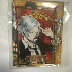 家庭教師ヒットマンREBORN! 獄寺隼人 ミニクリアファイル 天野明