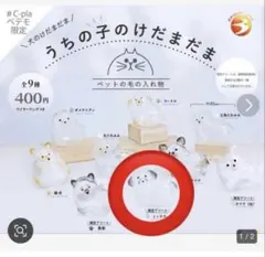 うちの子のけだまだま　犬　ミックス　キーホルダー　毛玉　レア　アソート