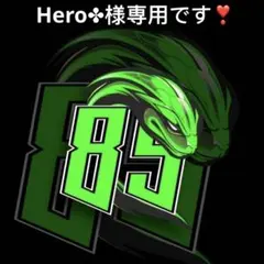 Hero✤様専用です❣️0306