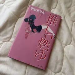 推し、燃ゆ 宇佐見りん 単行本