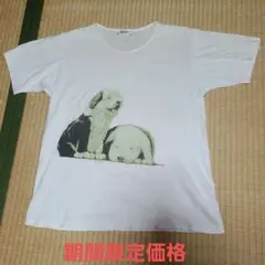 Item thumbnail for item d540df21-2424-4f39-bca8-1f7c30bc0a8b