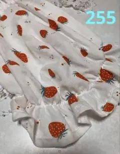 犬服ハンドメイド　ワンピース　Mサイズ程度　バルーン　いちご柄