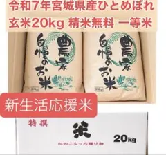 新玄米】『つや姫 20kg（10kg×2袋）』 令和7年宮城県産 環境保全米