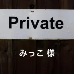 【みっこ様専用‼︎‼︎】