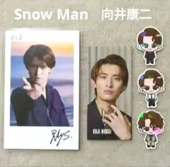 SnowMan RAYS CD特典 すのチルステッカー チェキ 向井康二 ⑯