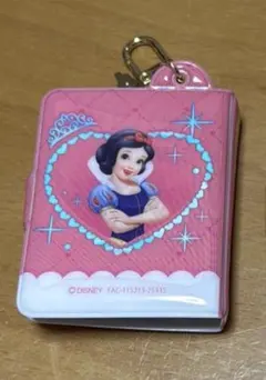 ミニアルバム　キーチェーン