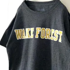 チャンピオン ウェイク フォレスト Tシャツ グレー 灰色 古着