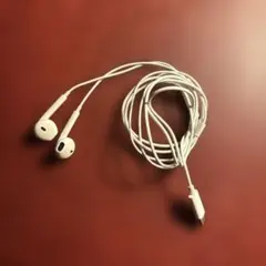 a*n様 Apple純正 EarPods（USB-Cコネクタ）有線イヤホン