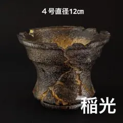 波浪〜Hiyodori〜 6号直径18㎝ 3dプリンター鉢 作家鉢 アガベ - メルカリ
