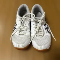 Item thumbnail for item 32838bd4-e062-498d-8d2e-59710b5f6644