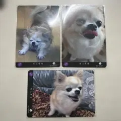 RYOGA THE CARD 3枚セット