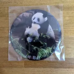 のんちゃん様 リクエスト 2点 まとめ商品