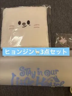 straykids ヒョンジン ペンミ 入場特典 ジニレット キーホルダー