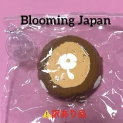 訳あり品 ブルーミングジャパン BloomingJapan ケーキシリーズ モカ