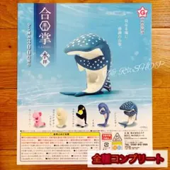 【◎フルコンプ】合掌 水拝