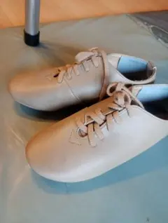 Item thumbnail for item 18c0d148-abc7-4c39-83e0-8296bd394eb3