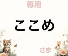 専用