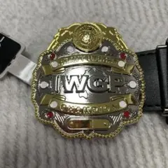 Item thumbnail for item 92895c33-c0fd-40f1-acb6-513ebccb3d92