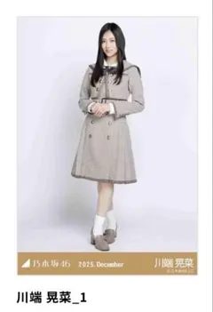 Item thumbnail for item 8b79b518-843c-4ee2-9af7-30e47f1ff962