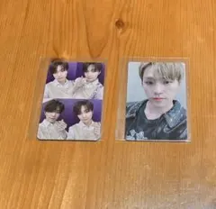 【硬貨ケース付】ディノ 2枚 セット ヘンガレ anode