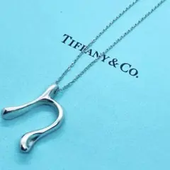 【美品】ティファニー　イニシャル　レター　ラージ　T　ネックレス　シルバー　希少 美品】ティファニー イニシャル レター ラージ T ネックレス シルバー