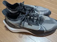 Item thumbnail for item 1944ef9b-9685-47e6-9fbb-05c0838592f4